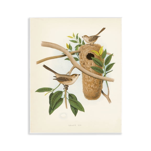 Stupell Industries Cottage Vintage Bird House Study Wall Plaque Art, 11 x 14, by Tina Higgins Designs Inc.