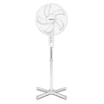 thumbnail image 1 of Ventilador de pie AMERICAN 7216 16 PUL 3 VEL SILENCIOSO blanco, 1 of 2