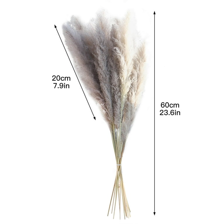 Nuolin Coarse Pampas Large Reeds Office Wedding Dried Flowers 60 Cm Long  For Home 15Pcs Fluffy Without Shedding Decor 