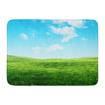 KDAGR Nature Sky and Grass Fresh Green Fields Under The Blue in Spring Clear Clouds Doormat Floor Rug Bath Mat 23.6x15.7 inch