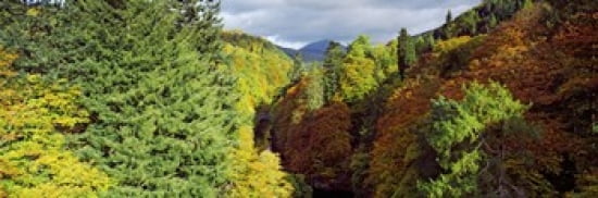 Canyon At Killiecra