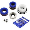 thumbnail image 2 of NATEFEMIN Kit de Réparation de Pompe pour Pulvérisateur 390 395 490 495 595 Tous Joints Valve en Acier Inoxydable Durable, 2 of 7