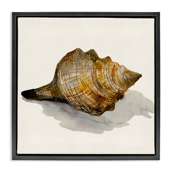 Stupell Industries Conch Shell on Beige Nautical & Beach Painting Black Floater Framed Canvas Art Print Wall Art, 18 x 18