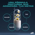 thumbnail image 3 of L-Cla Carnitina Zzz BRN3 BPN PRO 90 Cápsulas 45g, 3 of 10