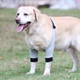 thumbnail image 2 of Tineer Dog Recovery Sleeve Protector Front Legs Joint Soft Padded Dog Brace Sleeve Pet Dog Leg Wounds Protection for Small Medium Dogs(S), 2 of 7