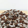 thumbnail image 2 of Tinyroots Bonsai Soil for Tropical Bonsai Trees, 2.25 Quart Bag, 2 of 2