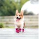 thumbnail image 2 of Zapatos antideslizantes para perros, botas para perros, protectores de patas, estas cómodas botas para perros con suelas suaves cuentan con correas reflectantes (2, rosa), 2 of 5
