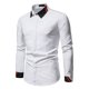 thumbnail image 2 of Hombres Otoño Colorblock Casual Business Slim Fit Blusa de manga larga Turndown Top Pompotops  oipoqjl25848, 2 of 9