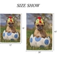 thumbnail image 2 of SKYSONIC French Bulldog Dog Wearing Costume Chicken Hat Double-Sided Printed Garden House Sports Flag 12x18in Polyester Decorative Flags for Courtyard Garden Flowerpot, 2 of 7