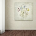thumbnail image 3 of Trademark Fine Art 'Wild Flowers Three' Canvas Art by Marcee Duggar, 3 of 3