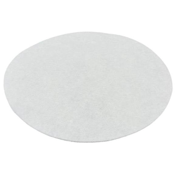 Bissell Secondary Filter for Garage Pro Wet Dry Canister Vac, 2030165