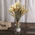 thumbnail image 7 of NOGIS 60pcs Dried Bunny Tails Flowers 16" Natural Dried Floral Arrangement Dry Flowers for Halloween Christmas Boho Decor Home Wedding DIY Craft Decoration (Natural), 7 of 7