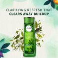Herbal Essences Tealightfully Clean Clarifying Shampoo with Tea Tree