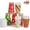 24Pcs 6 Designs(santa), variant on Joyfy 48 Pcs Christmas Paper Cup with Holiday Design, 9 oz Xmas Disposable Dinnerware Cups Party Supplies for Hot and Cold Beverages, Coffee Cups
