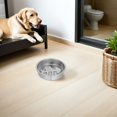 thumbnail image 4 of OULII Comedero Lento Para Perros En Inoxidable Con Base Antideslizante Y, 4 of 8