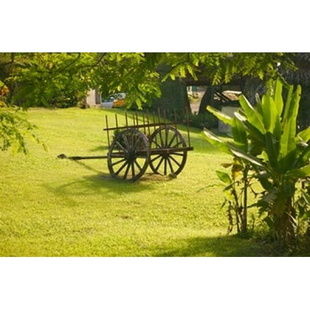 Domaine de Severin Rum Distillery and Sugar Cane Cart Guadaloupe Caribbean Canvas Art - Walter Bibikow DanitaDelimont (36 x 24)