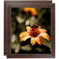 ArtToFrames 12" x 14" Wooden Finish Mahogany Picture Frame, 12x14 inch Brown Wood Poster Frame (WOM-4958), 2 Pack