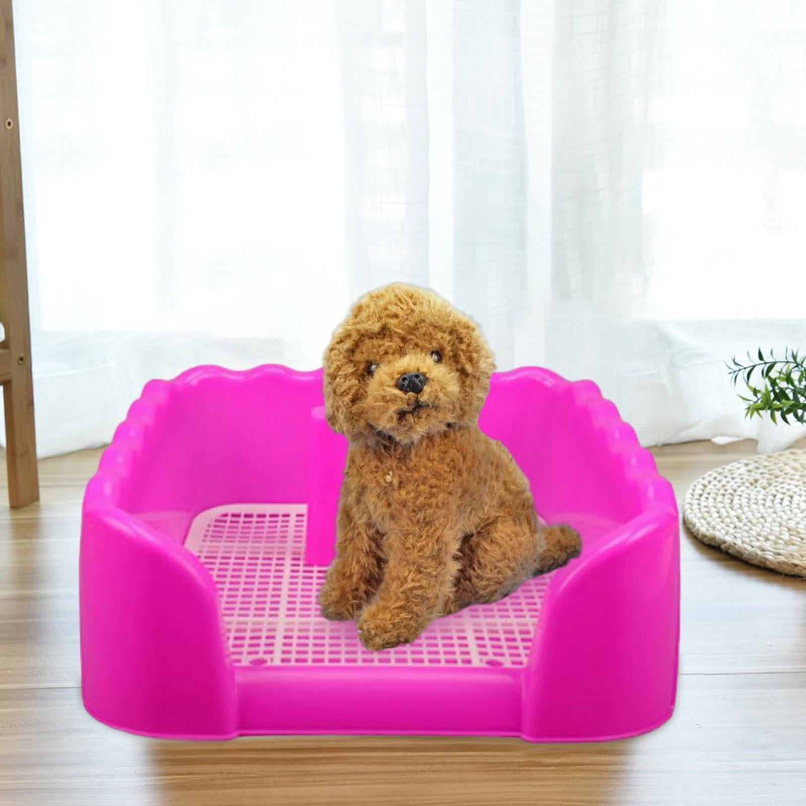 Buy Indoor Dog Potty Tray Pet Training for Small and Medium Dogs with