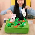 thumbnail image 1 of Juguete creativo de peluche de zanahoria de jardín, juguete educativo de interacción entre padres y hijos, juguete para masticar verduras, perros, Colco  Muñeca Zanahoria, 1 of 8