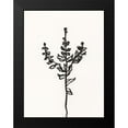 thumbnail image 2 of Holland, J. 12x14 Black Modern Framed Museum Art Print Titled - Ink Botanical Sketch II, 2 of 5