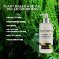 Plantoria Coconut Oil Plant Based Hand Soap Therapeutic Hydrating