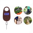 thumbnail image 4 of 25kg*5g Mini Digital Scale Electronic Hanging Luggage Scale Accurate Fishing Pocket Weighing Scale LCD Display, 4 of 9