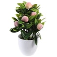 thumbnail image 5 of WASHWEPE 1Pack Imitation Bonsai Ornaments in Olive for Photography Scenes, 5 of 8
