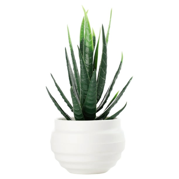Plantas Suculentas Artificiales Decorativas Simulación de Escritorio Bonsai Mini Casa Planta Verde para Decoración de Hogar y Oficina ANGGREK Otros