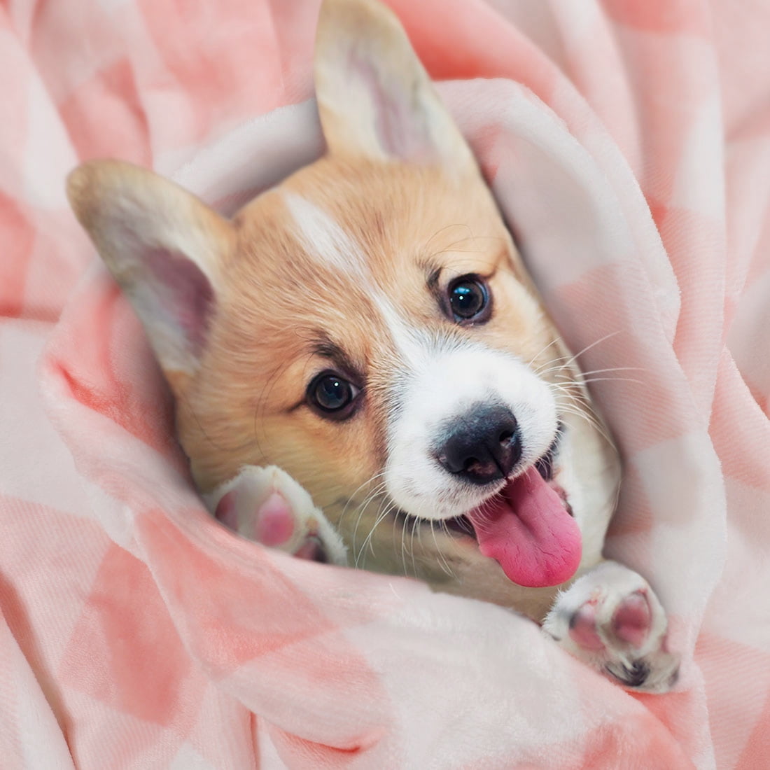 Plaid Soft Plush Fleece Blanket for Sofa Couch Bed, 30" x 40", Pink and White