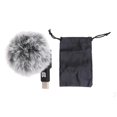 thumbnail image 1 of Microphone pour smartphone PULUZ en plastique et métal, réglable à 90 degrés, réduction du bruit, accessoires pour téléphone, type C -40 dB ± 3 dB, 1 of 4