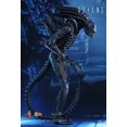 thumbnail image 3 of Figure Hot Toys MMS354 - Aliens - Alien Warrior, 3 of 5