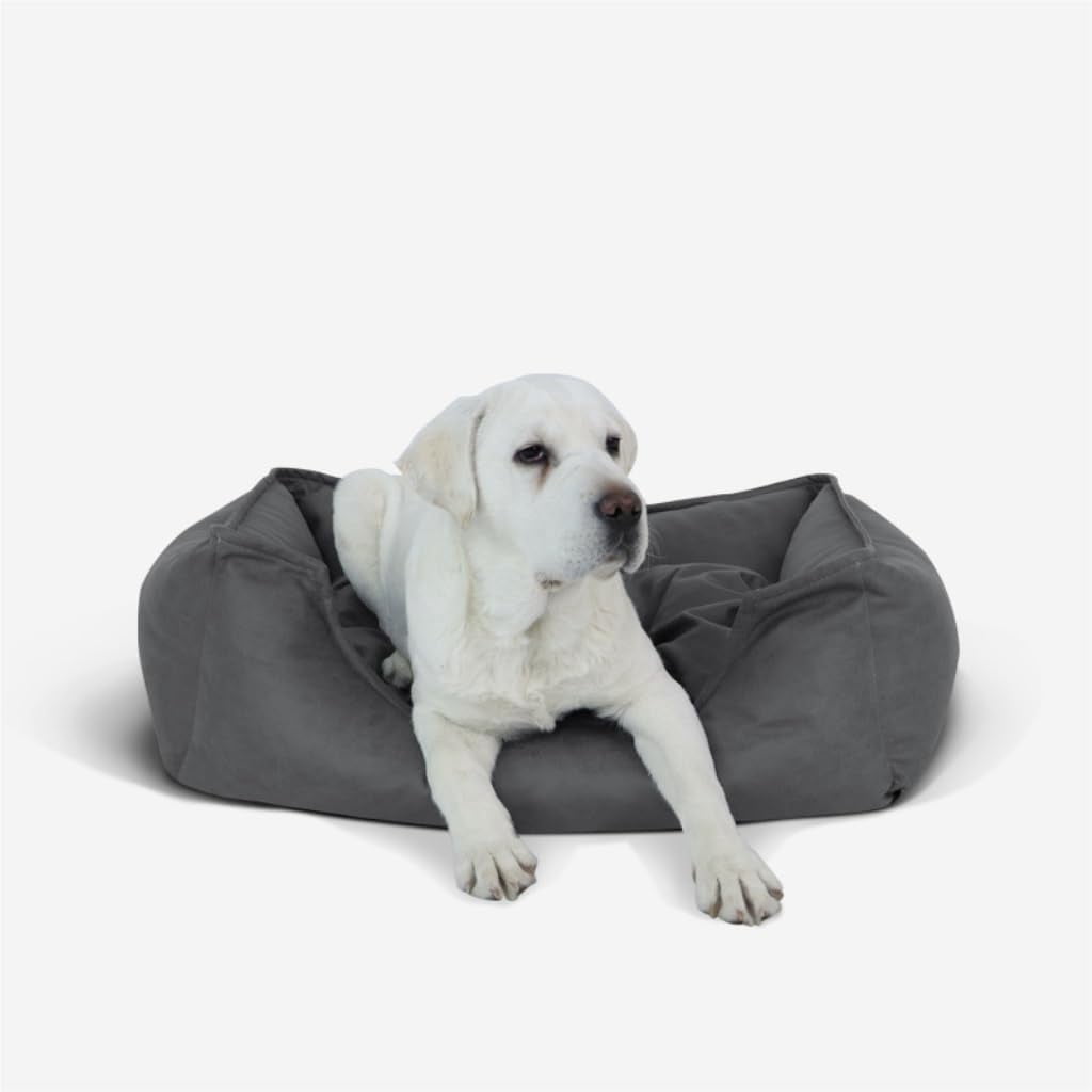 RKXQT Dog Bed Creative Waterproof Kennel Pet Bed Sofa Cat Kennel Supplies Kennel Sponge Removable and Washable Comfortable Dog Bed Pet Bed