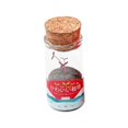 thumbnail image 2 of Small Green Bonsai Plant Pots Green Plants Housewarming Gift Red, 2 of 8