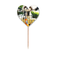 thumbnail image 1 of Dog Pet Animal Cute Photo Toothpick Flags Heart Lable Cupcake Picks, 1 of 3