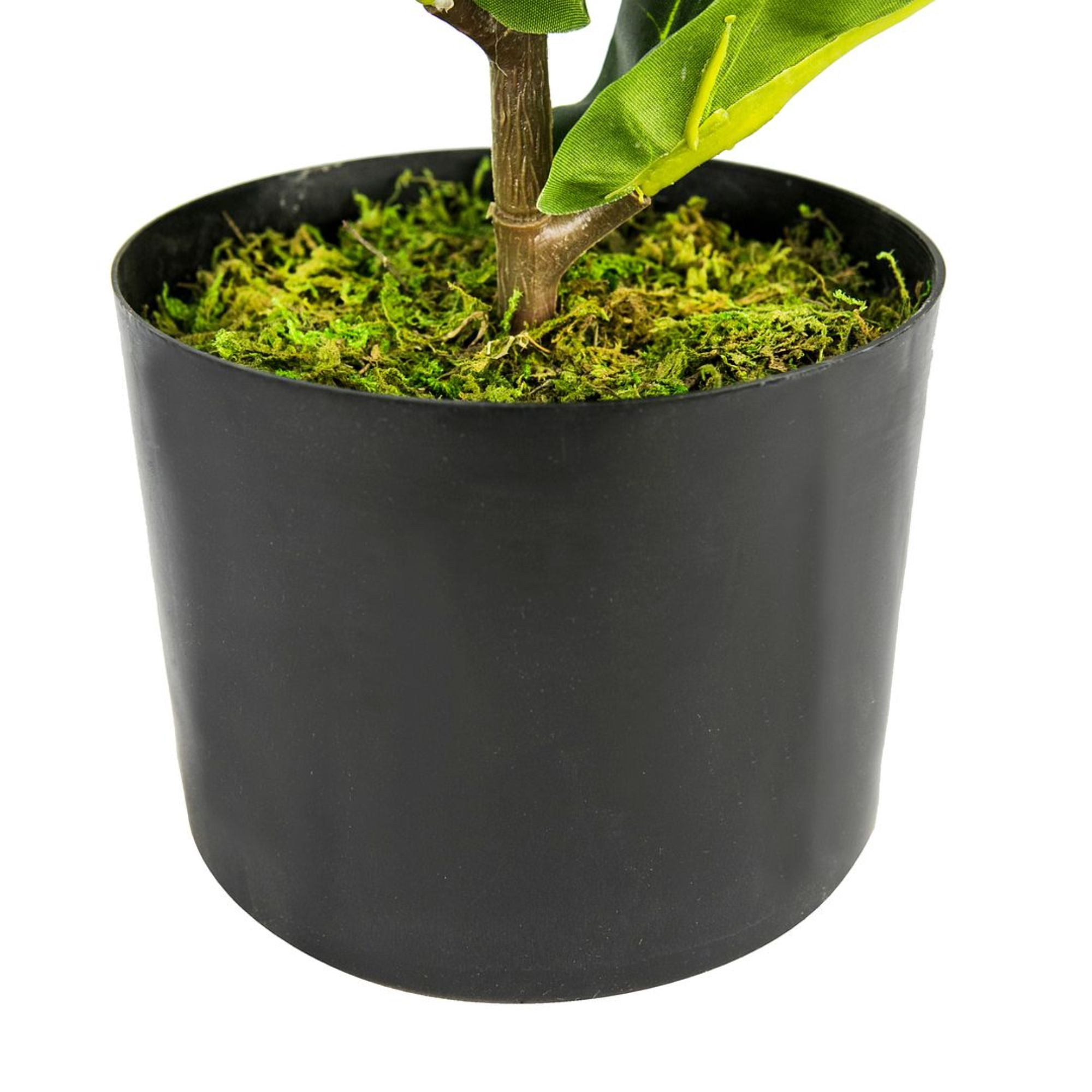 Artificial Plant, 2.5ft Fiddle Leaf Fig  Plant in a Plastic Black Grower's Pot by LCG Florals, Faux Designer Fake Indoor Plant for Living Room, Office, and Home Décor