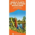 thumbnail image 6 of ILLUSTRTD GD: EDBLE WLD PLANTS, 6 of 7