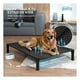 thumbnail image 2 of Cama Elevada para Perro con Malla Transpirable y Toldo, Catre de Mascotas Esquimal (Negro, 106x76x88 cm), 2 of 7
