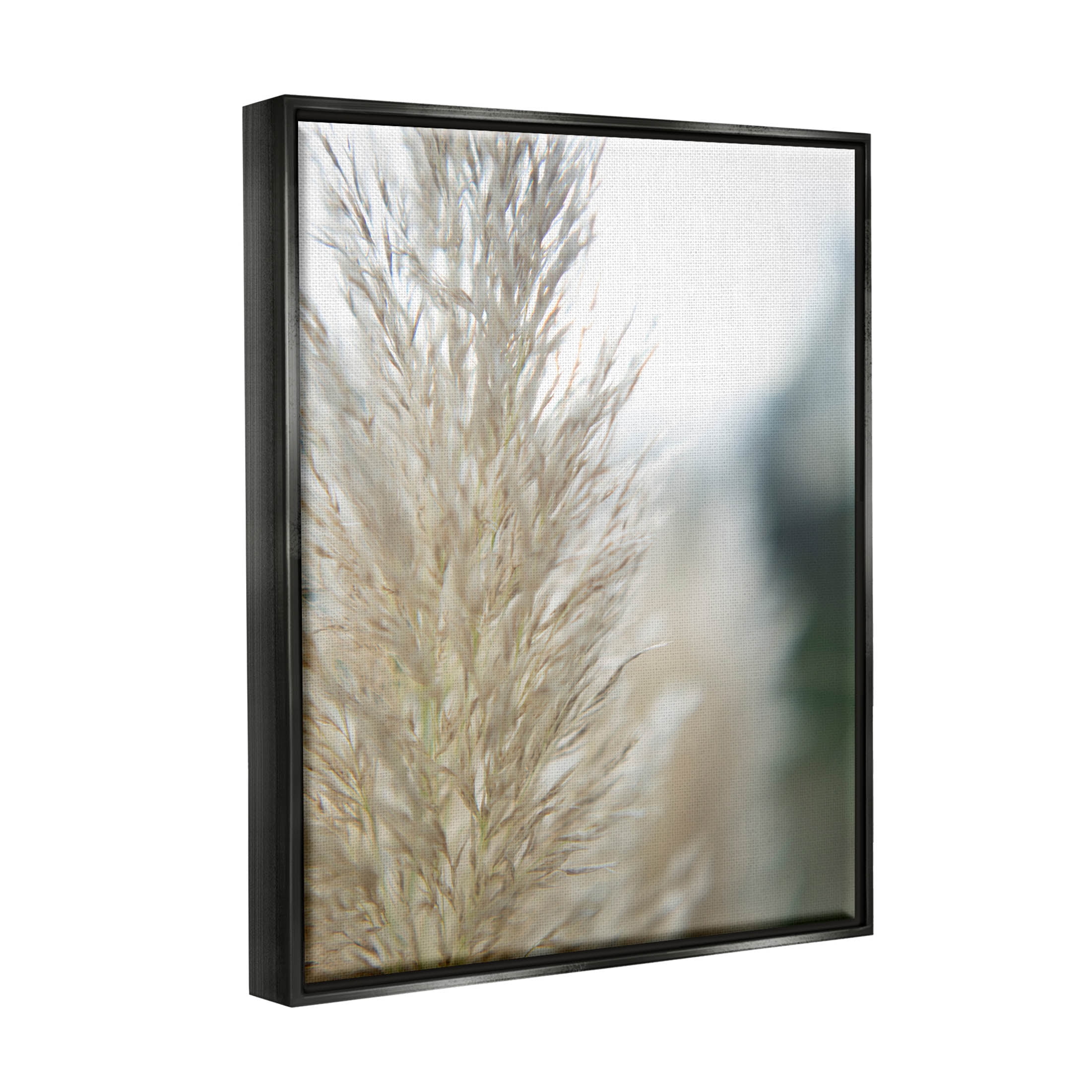 Stupell Industries Natural Pampas Grass Photography Scene Photograph Jet Black Floating Framed Canvas Print Wall Art, Design by Jason Johnson