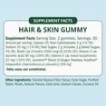 thumbnail image 4 of Semaine Hair & Skin 60Ct. Gummy - Astaxanthin for Healthy Aging, Fuller Hair, & Skin Elasticity, 4 of 9