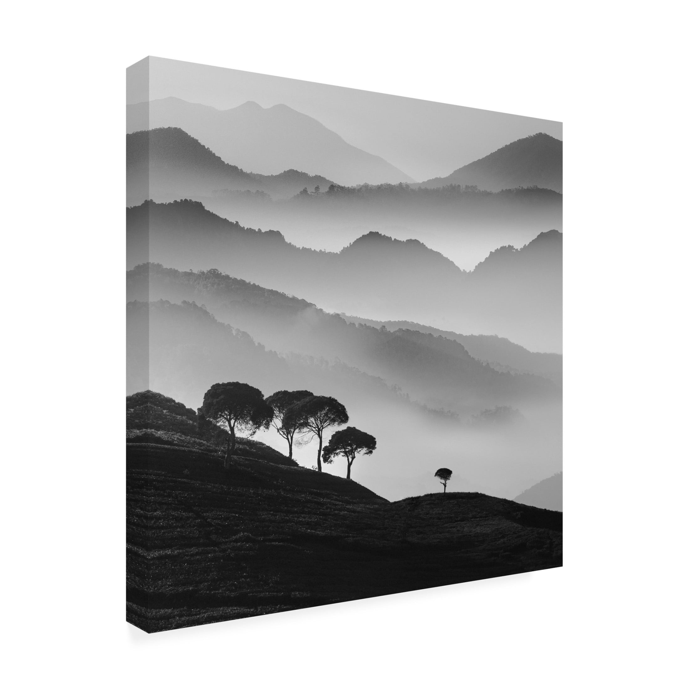 Canvas Wall Art - Ajie Alrasyid 'Cukul' Wall Art for Living Room, Bedroom, or Office D?cor by Trademark Fine Art - 24 x 24 Inches
