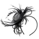 thumbnail image 5 of Diadema de plumas Hugo Mujeres Flapper, 5 of 9