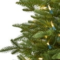 thumbnail image 3 of Nearly Natural 5' Cambridge Fir Christmas Tree with 300 Clear Warm LED Lights - Green, 3 of 10