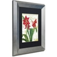 thumbnail image 2 of Trademark Fine Art "Peppermint Amaryllis" Canvas Art by Color Bakery Black Matte, Silver Frame, 2 of 4