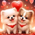 thumbnail image 1 of 5D DIY Lindo Cachorro Pomerania Kit 30x30cm (x726), 1 of 9