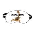 thumbnail image 1 of Scorpion Routine d'Insectes Naturels, Protection des Yeux contre le Sommeil, Masque de Nuit Doux, 1 of 4