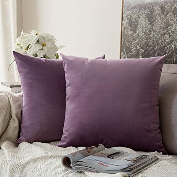 Eryueer Velvet Soft Soild Microfiber Decorative Square Pillow Case Throw Cushion Cover for Sofa Bedroom with Invisible Zipper 16x16 Inch 40x40cm Violet Set of 2 Lined