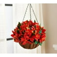thumbnail image 1 of Bethlehem Lights Illuminated 13" Poinsettia Hanging Basket in Red, 1 of 2
