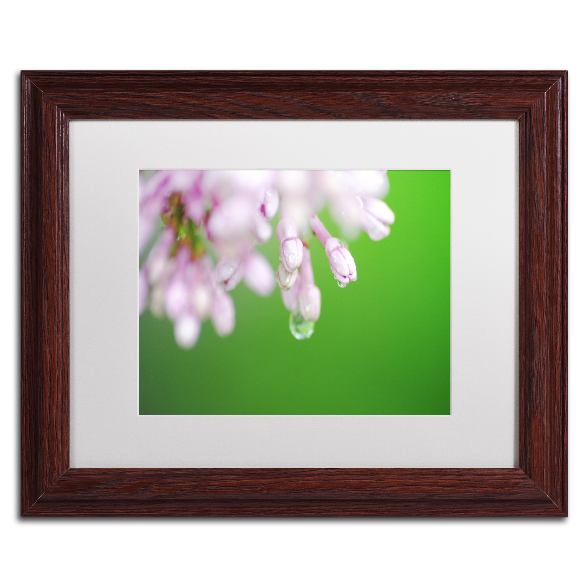 Trademark Fine Art "Pure" Canvas Art by Monica Mize, White Matte, Wood Frame
