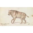 thumbnail image 3 of Charles Hamilton Smith 18x12 Black Modern Framed Museum Art Print Titled - The Strand Hyaena (1837), 3 of 5