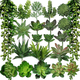 thumbnail image 1 of Plantas Suculentas Artificiales Plantas Decorativas 21pcs Xtellar verde, 1 of 3